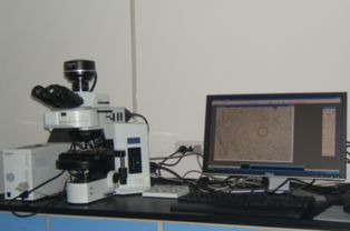 大型儀器平臺簡介